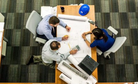 Imigração profissional