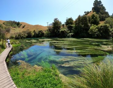 Descubra as águas da Blue Spring!