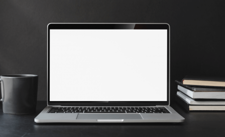 Opções de cursos online na Nova Zelândia