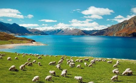 Seleção das as melhores ofertas