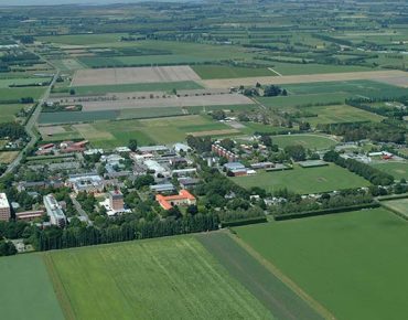 Traduções de documentos