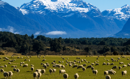 Nova Zelândia classificada como o melhor lugar do mundo para se estar na era do Coronavírus!