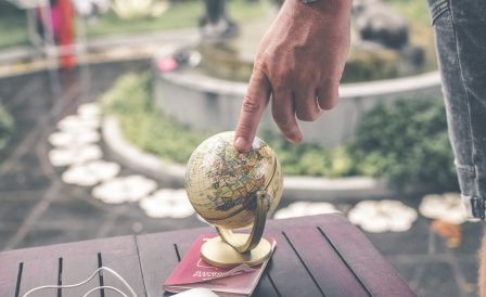 IMMIGRATION ADVISER KIWI EDUCATION