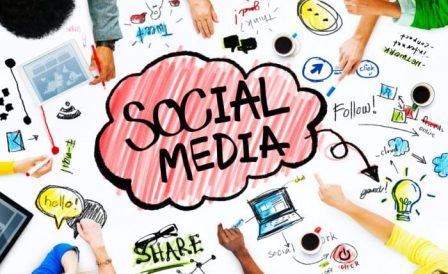 Kiwi Education nas redes sociais