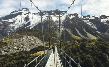 NZeTA e IVL – O que é isso?
