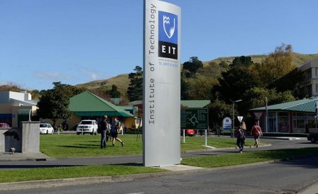 Estude online e comece agora a trilhar seu futuro na Nova Zelândia 