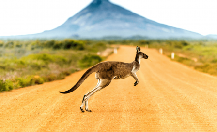 Bolha de viagens entre Nova Zelândia e Austrália já tem data para começar!